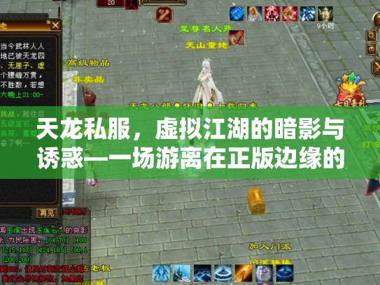 天龙私服，虚拟江湖的暗影与诱惑—一场游离在正版边缘的武侠梦