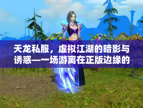 天龙私服，虚拟江湖的暗影与诱惑—一场游离在正版边缘的武侠梦