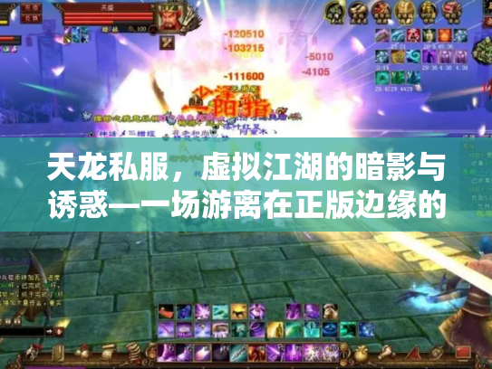 天龙私服，虚拟江湖的暗影与诱惑—一场游离在正版边缘的武侠梦
