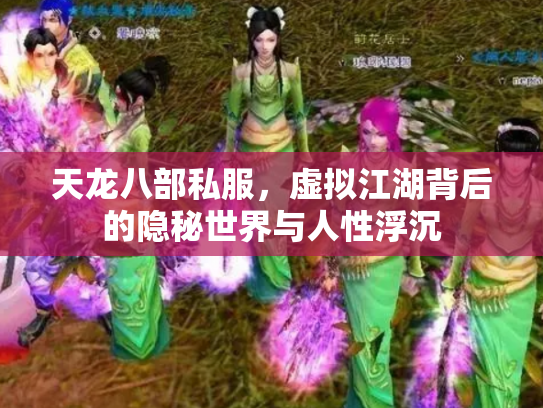 天龙八部私服，虚拟江湖背后的隐秘世界与人性浮沉