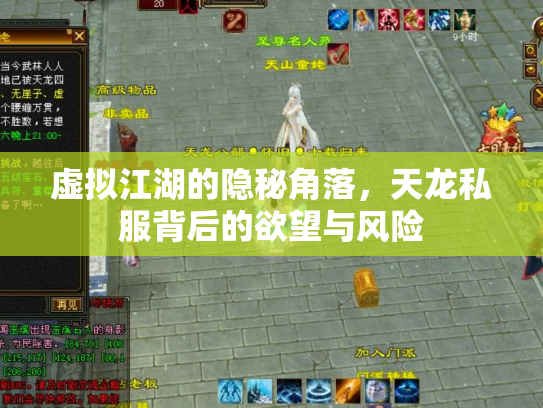 虚拟江湖的隐秘角落，天龙私服背后的欲望与风险