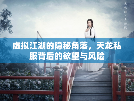 虚拟江湖的隐秘角落，天龙私服背后的欲望与风险