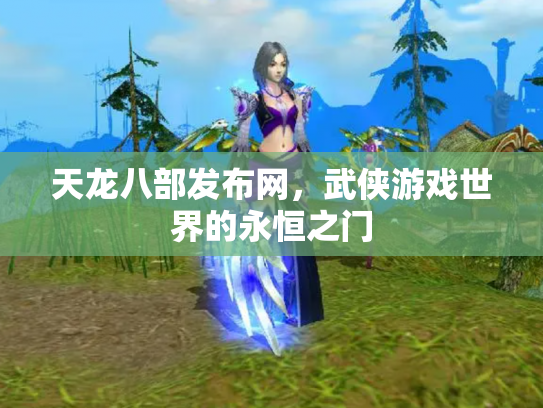 天龙八部发布网，武侠游戏世界的永恒之门