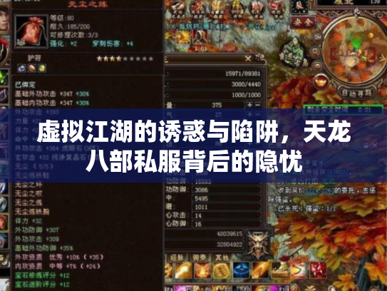 虚拟江湖的诱惑与陷阱，天龙八部私服背后的隐忧