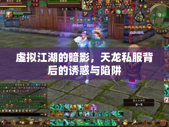 虚拟江湖的暗影，天龙私服背后的诱惑与陷阱