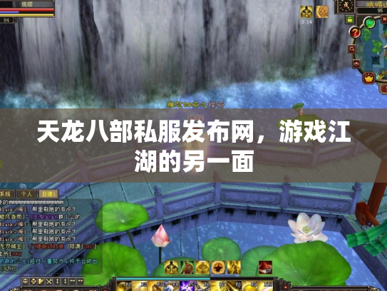 天龙八部私服发布网，游戏江湖的另一面