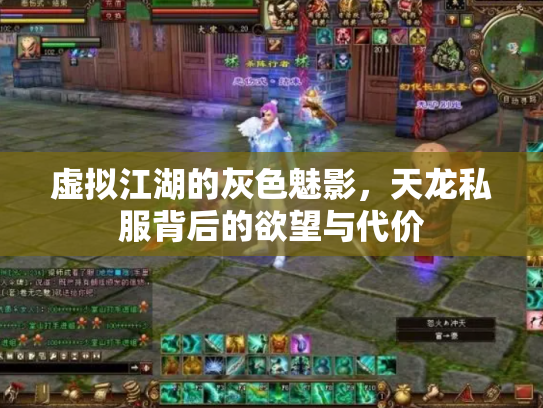 虚拟江湖的灰色魅影，天龙私服背后的欲望与代价