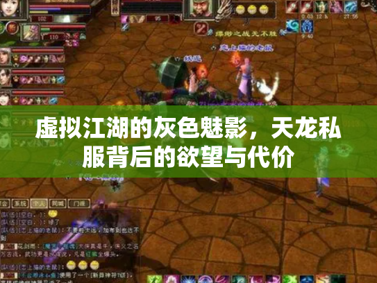 虚拟江湖的灰色魅影，天龙私服背后的欲望与代价