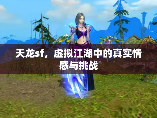 天龙sf，虚拟江湖中的真实情感与挑战