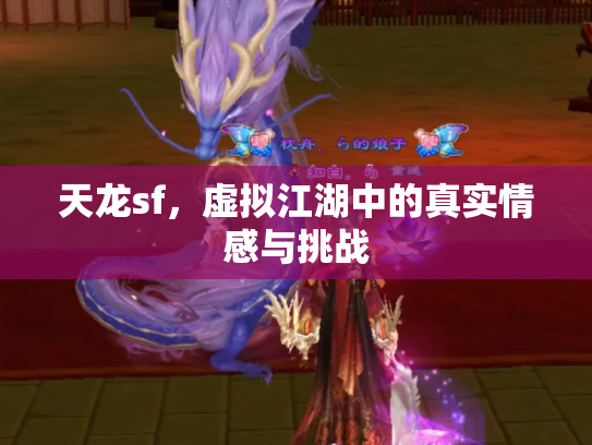 天龙sf，虚拟江湖中的真实情感与挑战
