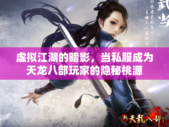 虚拟江湖的暗影，当私服成为天龙八部玩家的隐秘桃源