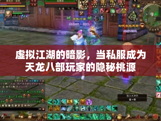 虚拟江湖的暗影，当私服成为天龙八部玩家的隐秘桃源