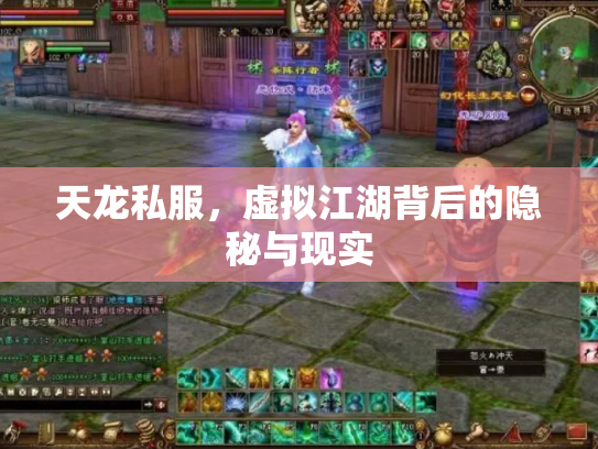 天龙私服，虚拟江湖背后的隐秘与现实