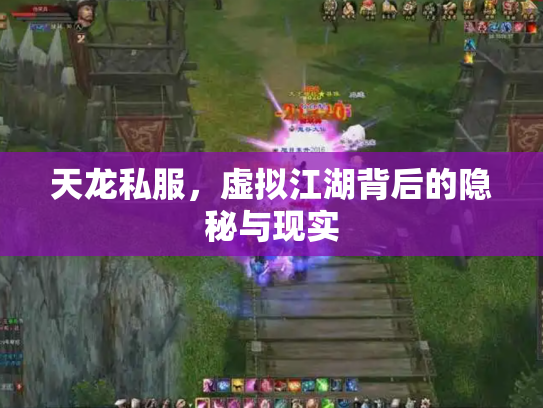 天龙私服，虚拟江湖背后的隐秘与现实