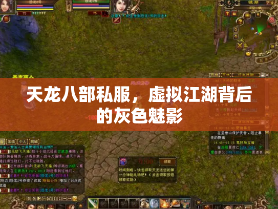 天龙八部私服，虚拟江湖背后的灰色魅影