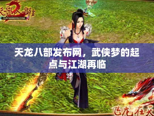天龙八部发布网，武侠梦的起点与江湖再临