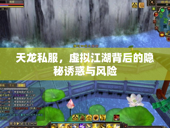 天龙私服，虚拟江湖背后的隐秘诱惑与风险