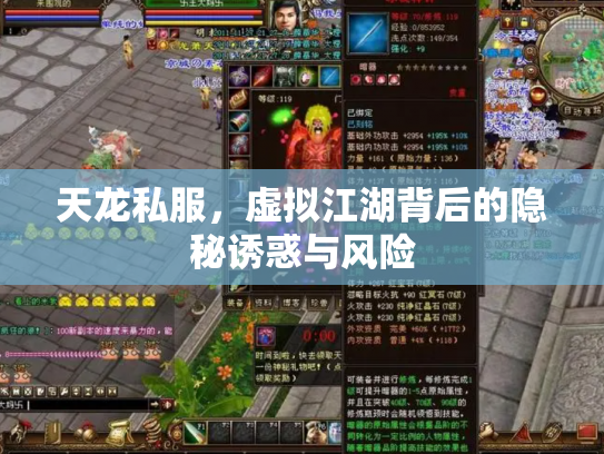 天龙私服，虚拟江湖背后的隐秘诱惑与风险
