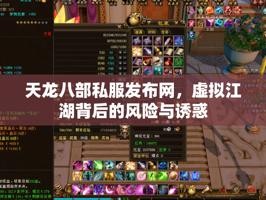 天龙八部私服发布网，虚拟江湖背后的风险与诱惑
