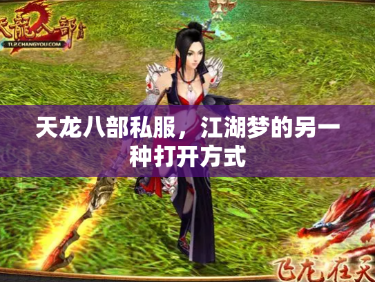 天龙八部私服，江湖梦的另一种打开方式
