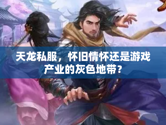 天龙私服，怀旧情怀还是游戏产业的灰色地带？