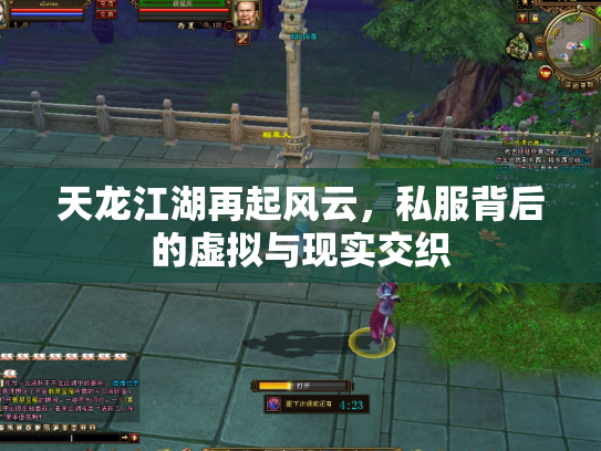 天龙江湖再起风云，私服背后的虚拟与现实交织