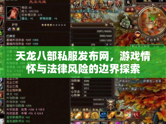 天龙八部私服发布网，游戏情怀与法律风险的边界探索