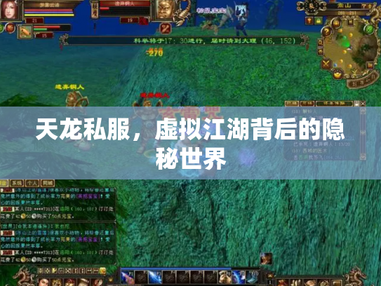 天龙私服，虚拟江湖背后的隐秘世界