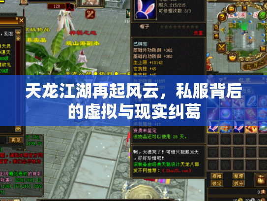 天龙江湖再起风云，私服背后的虚拟与现实纠葛