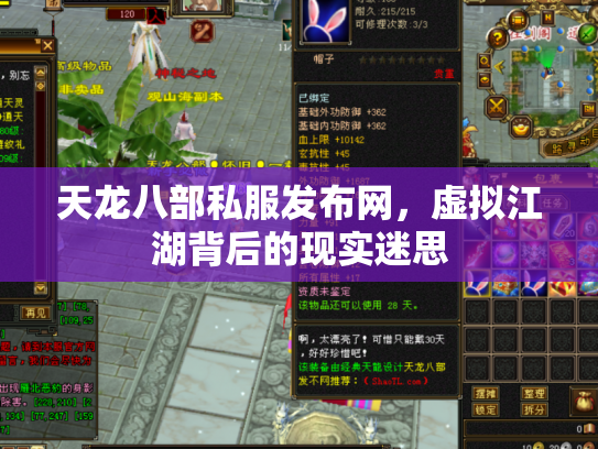 天龙八部私服发布网，虚拟江湖背后的现实迷思