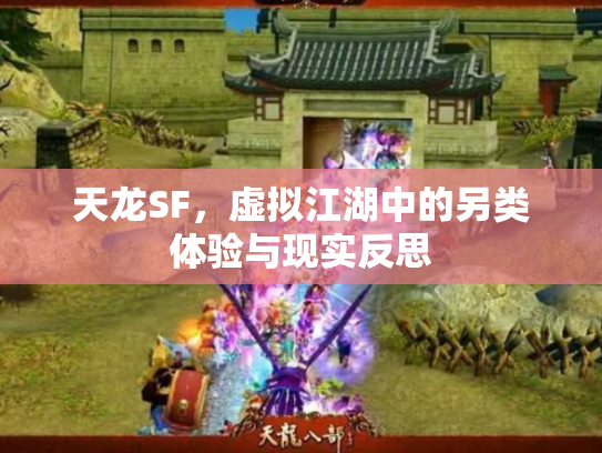 天龙SF，虚拟江湖中的另类体验与现实反思