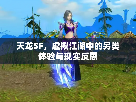天龙SF，虚拟江湖中的另类体验与现实反思