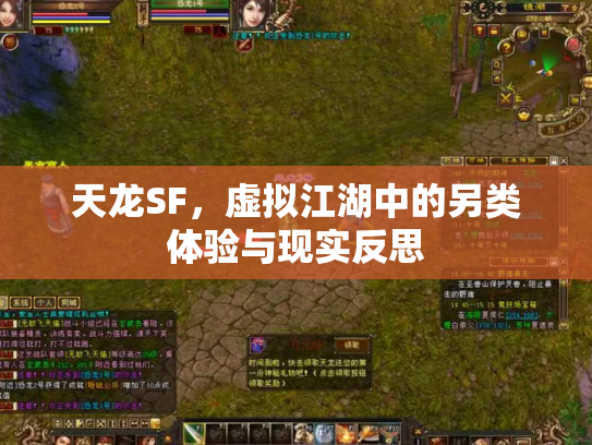 天龙SF，虚拟江湖中的另类体验与现实反思
