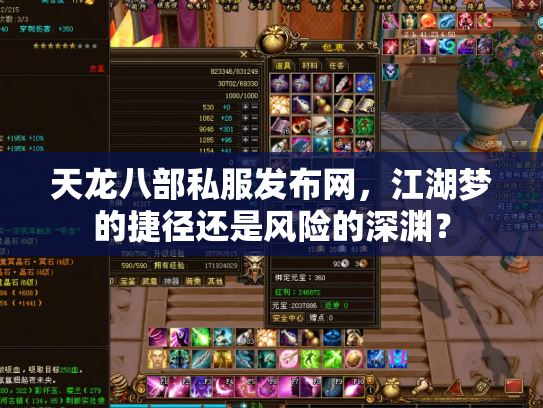 天龙八部私服发布网，江湖梦的捷径还是风险的深渊？