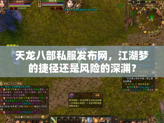 天龙八部私服发布网，江湖梦的捷径还是风险的深渊？