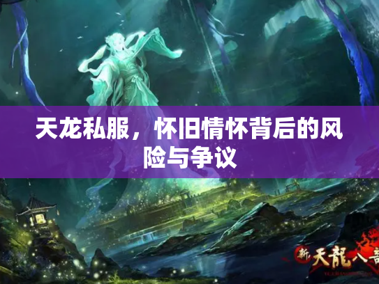天龙私服，怀旧情怀背后的风险与争议