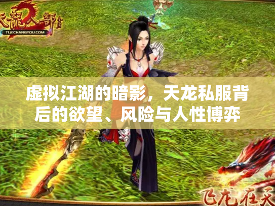 虚拟江湖的暗影，天龙私服背后的欲望、风险与人性博弈