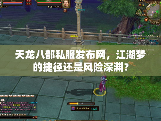 天龙八部私服发布网，江湖梦的捷径还是风险深渊？