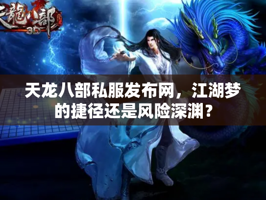 天龙八部私服发布网，江湖梦的捷径还是风险深渊？