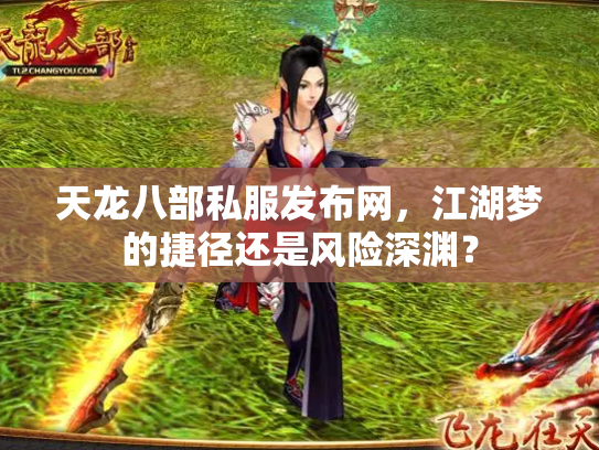 天龙八部私服发布网，江湖梦的捷径还是风险深渊？