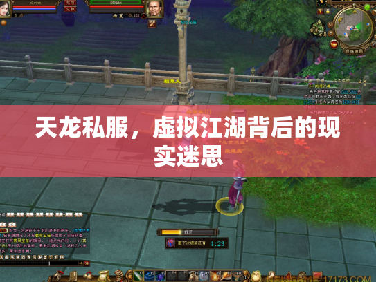 天龙私服，虚拟江湖背后的现实迷思
