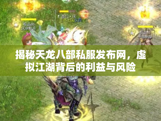 揭秘天龙八部私服发布网，虚拟江湖背后的利益与风险