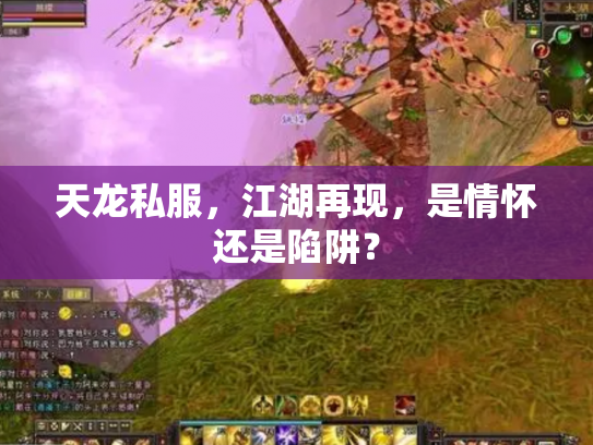 天龙私服，江湖再现，是情怀还是陷阱？