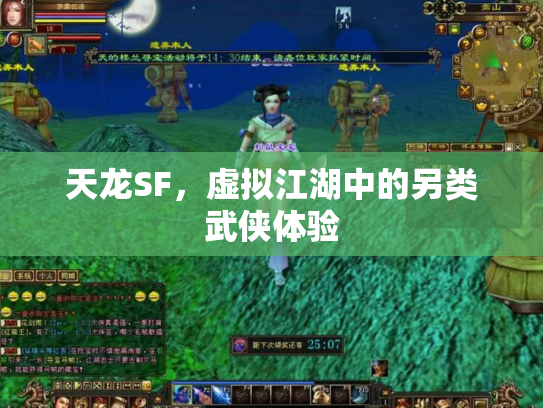 天龙SF，虚拟江湖中的另类武侠体验