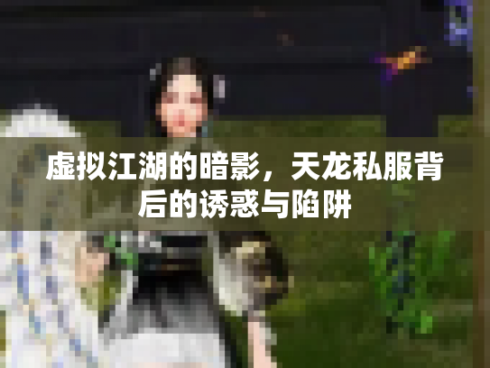 虚拟江湖的暗影，天龙私服背后的诱惑与陷阱
