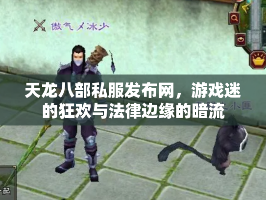 天龙八部私服发布网，游戏迷的狂欢与法律边缘的暗流