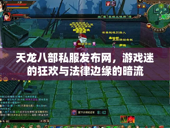 天龙八部私服发布网，游戏迷的狂欢与法律边缘的暗流