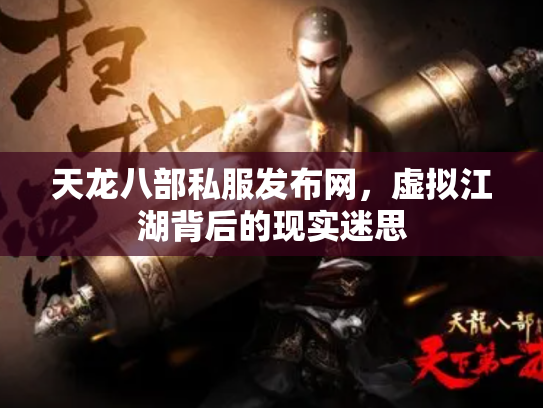 天龙八部私服发布网，虚拟江湖背后的现实迷思