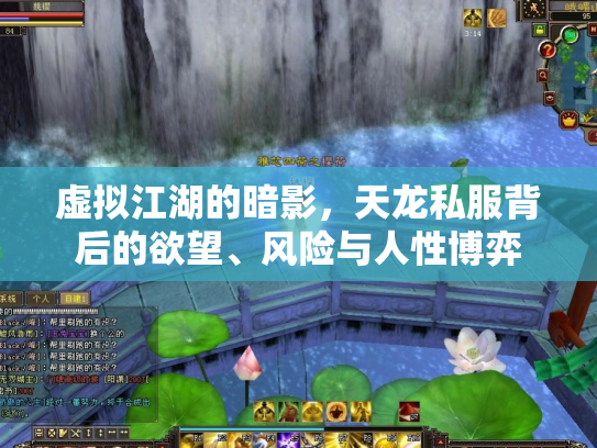 虚拟江湖的暗影，天龙私服背后的欲望、风险与人性博弈