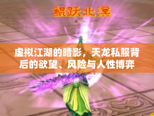 虚拟江湖的暗影，天龙私服背后的欲望、风险与人性博弈